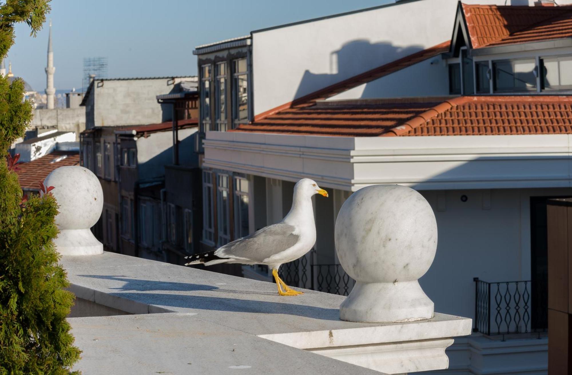 Bizim Hotel Istanbul Exterior photo